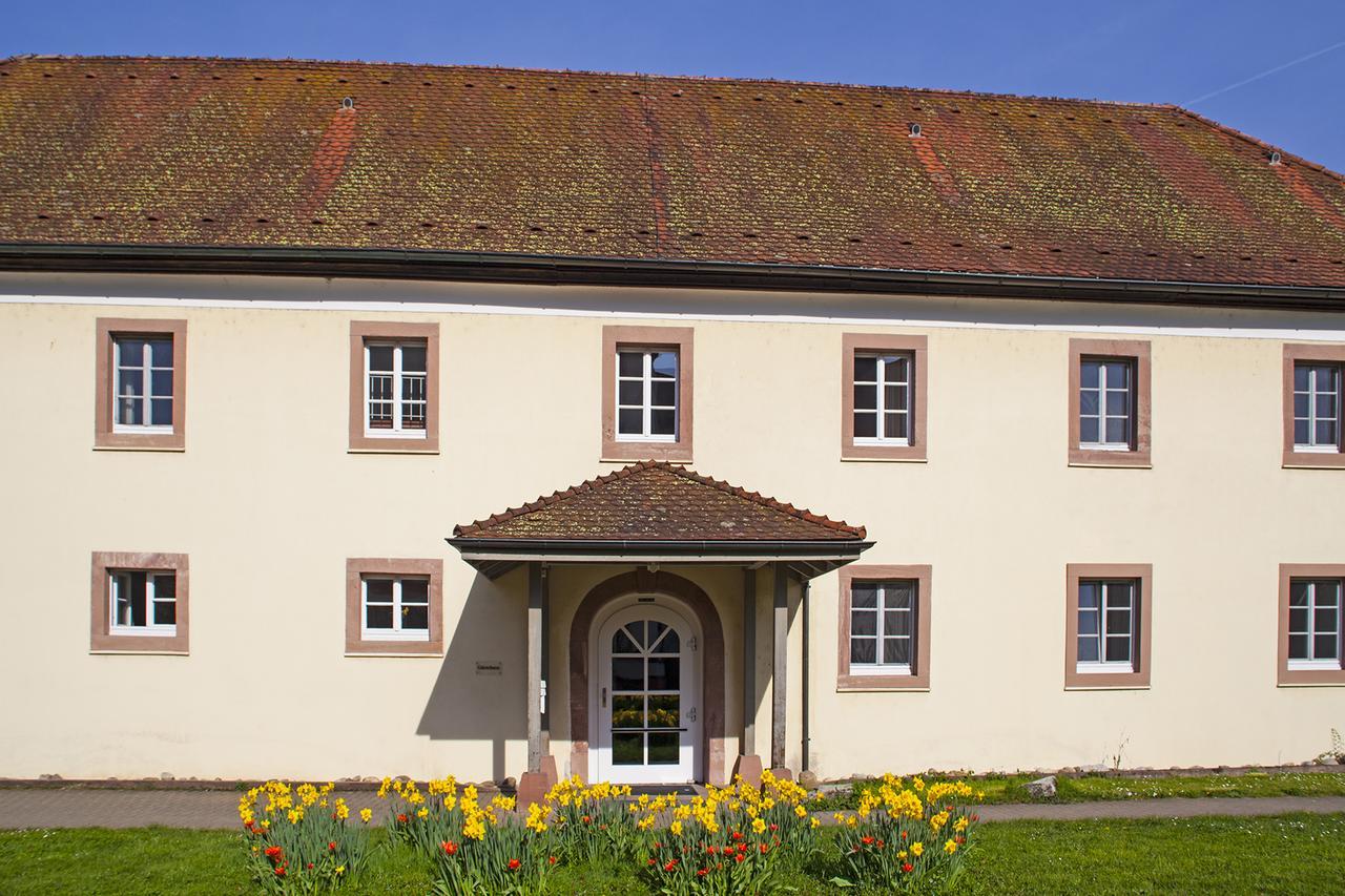 Schloss Beuggen Rheinfelden  Buitenkant foto